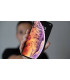 گوشی اپل آیفون 11 پرو 64 گیگابایت مدل Apple iPhone 11 pro 64GB