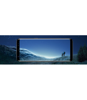 گوشی موبایل سامسونگ مدل Galaxy S8 Plus SM-G955FD 128 g