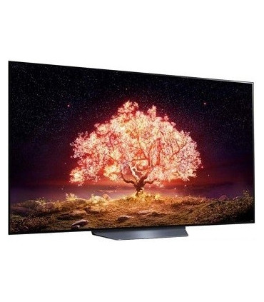 تلویزیون 48 اینچ ال جی 4k مدل 48B1